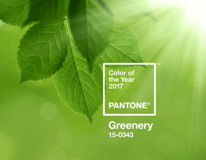 Pantone announced its 2017 Color of the Year on Dec. 8. The color, 